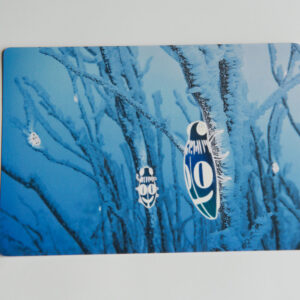 Carte Postale « Accrochés aux branches »